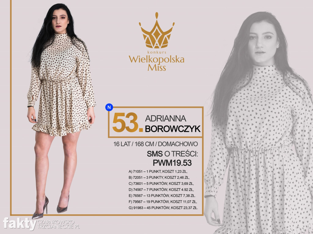 Półfinalistki Wielkopolska Miss 2019