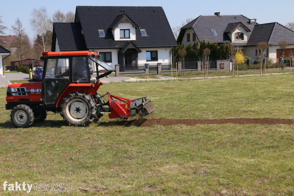 Łąki kwietne w Trzciance