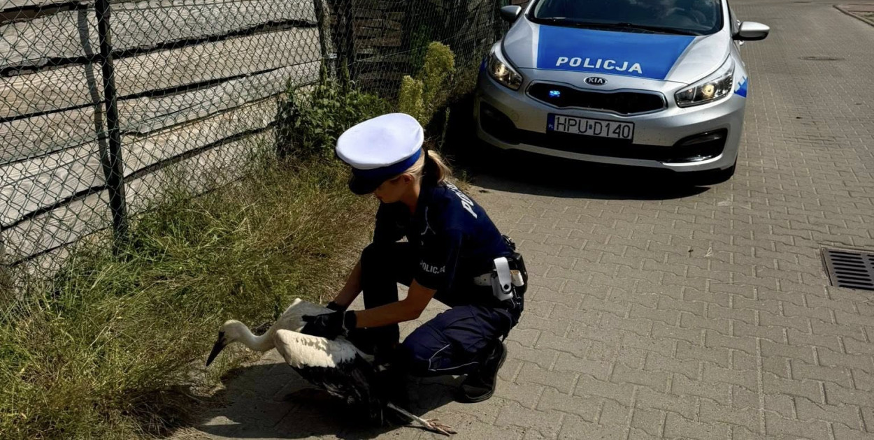fot. KPP Czarnków