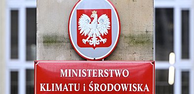 Projekt dotyczący wycinki drzew na prywatnej działce wstrzymany; nowe przepisy-11284