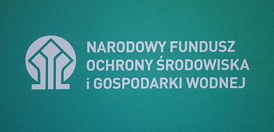 Od połowy lipca będzie można rozliczyć piece gazowe w "Czystym Powietrzu"-11853