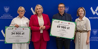 Wypięknieją kolejne wielkopolskie wsie. Na deser ciasto-11921