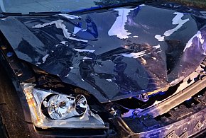 Groźne zderzenie ze zwierzyną-13190