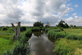 Co dalej z nowym parkiem narodowym? Minister klimatu zdradza plan po wecie-13216