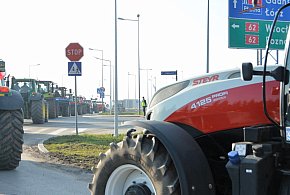 Rolnicy zapowiadają protest w całym kraju. Skala może zaskoczyć-13735