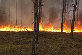Bardzo gorące popołudnie! Spłonęło 18 hektarów lasu