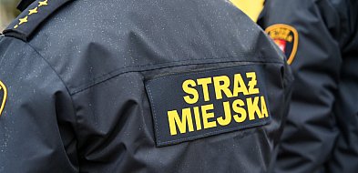 Zapuka strażnik, zapłacisz karę. Ruszyły kontrole w całej Polsce-12870