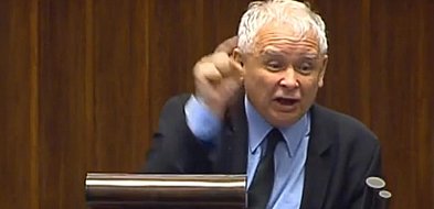 Kaczyński - farbowany lis-13286