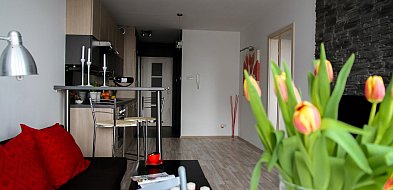 Rewolucja w wynajmie na doby. Nadchodzi koniec "wolnej amerykanki"-13500