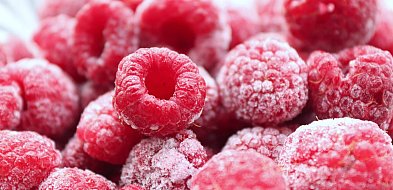 Pilny alert GIS. Salmonella wykryta w popularnych owocach