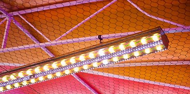 Oświetlenie, które podąża za Twoimi potrzebami: Dlaczego systemy szynowe zdominowa