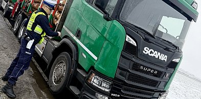 Akcja "Truck & Bus". Pod lupą ciężarówki i autobusy