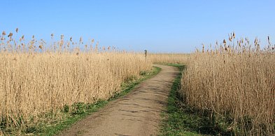 Rozdysponowano pieniądze na drogi do pól. Ile dostały gminy?