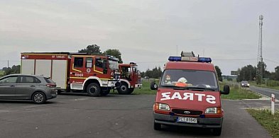 Nie żyje 38‑latek. Zadzwonił, że ugryzł go szerszeń…-12557