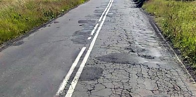 Wstrzymana przebudowa DW 174. Bo drzewa ważniejsze?-13076