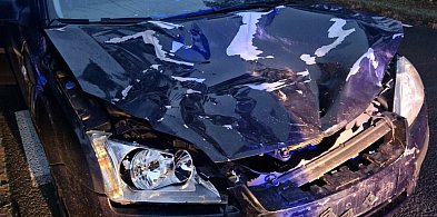 Groźne zderzenie ze zwierzyną-13190