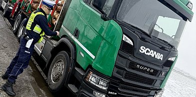 Akcja "Truck & Bus". Pod lupą ciężarówki i autobusy