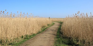 Rozdysponowano pieniądze na drogi do pól. Ile dostały gminy?
