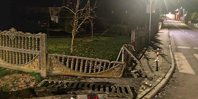 Zniszczył ogrodzenie i uciekł. Ultimatum dla kierowcy-13244