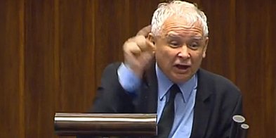 Kaczyński - farbowany lis-13286