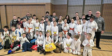 Witek srebrny, Ewa brązowa