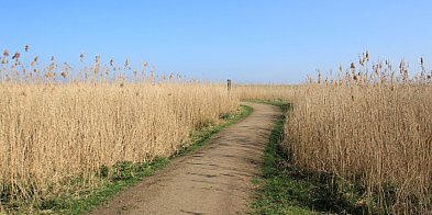 Rozdysponowano pieniądze na drogi do pól. Ile dla gmin?