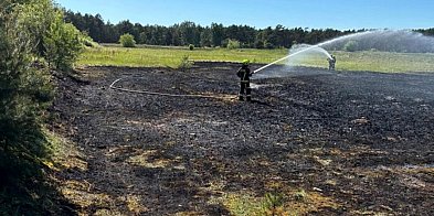 Na Wylewiskach paliły się trawy