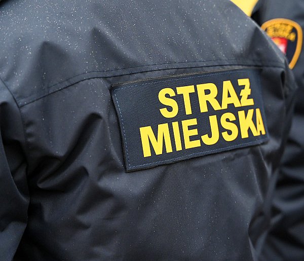 Zapuka strażnik, zapłacisz karę. Ruszyły kontrole w całej Polsce-12870
