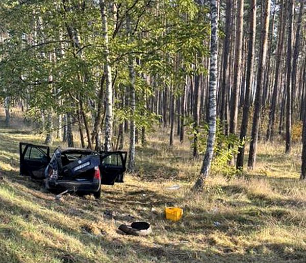 Wypadł z drogi aż pod las!-13106