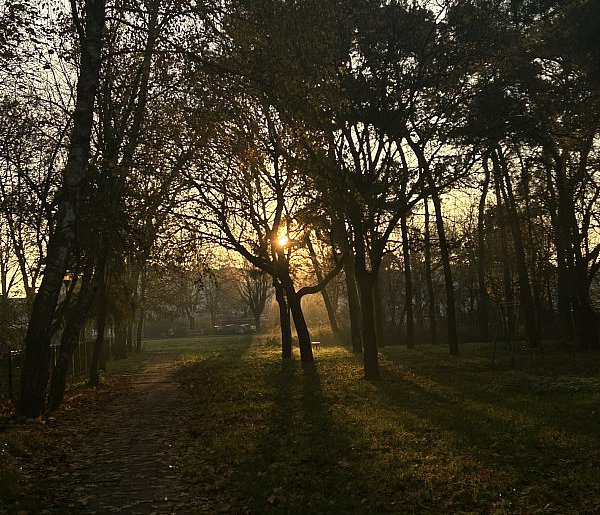 Nadchodzi najkrótszy dzień w 2025 roku. Sprawdź, kiedy przypadnie-13667
