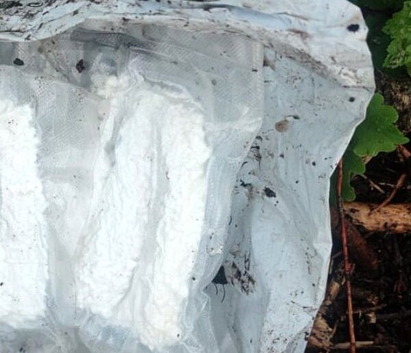 Ukrył 1,2 kilograma narkotyków - mefedron i amfetaminę