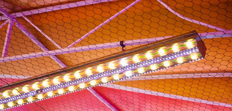 Oświetlenie, które podąża za Twoimi potrzebami: Dlaczego systemy szynowe zdominowa