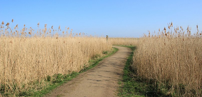 Rozdysponowano pieniądze na drogi do pól. Ile dostały gminy?