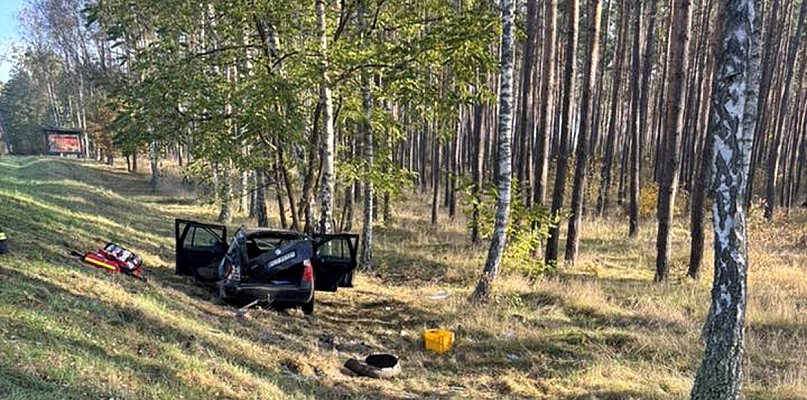 Wypadł z drogi aż pod las! - 13106