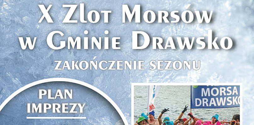 Na koniec sezonu morsy zamoczą się w Moczydle