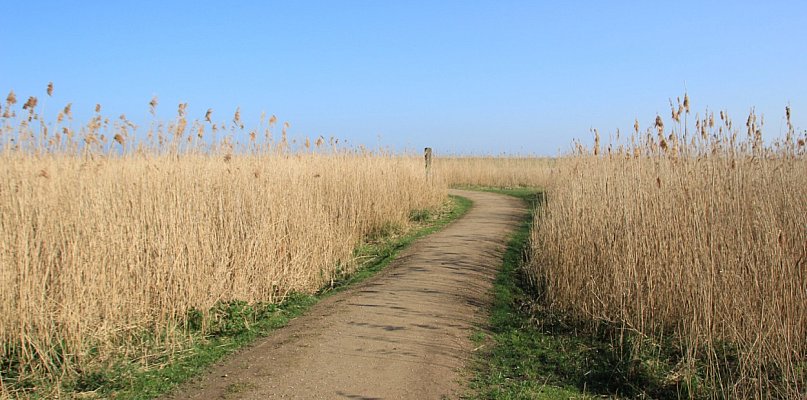 Rozdysponowano pieniądze na drogi do pól. Ile dostały gminy?