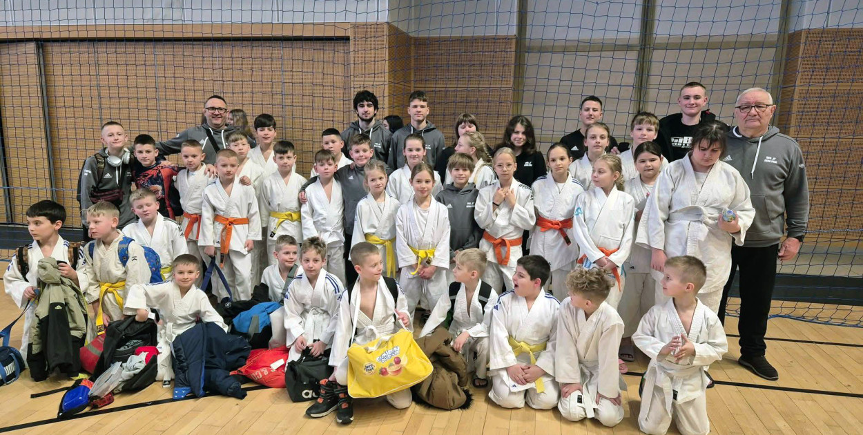 Witek srebrny, Ewa brązowa